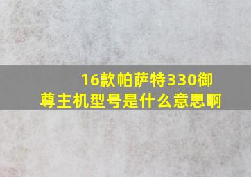 16款帕萨特330御尊主机型号是什么意思啊