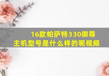 16款帕萨特330御尊主机型号是什么样的呢视频