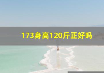 173身高120斤正好吗