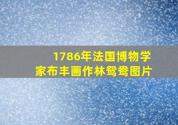 1786年法国博物学家布丰画作林鸳鸯图片