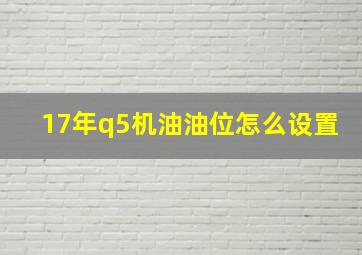 17年q5机油油位怎么设置