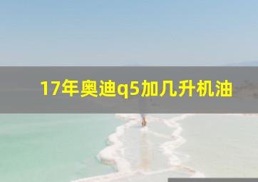 17年奥迪q5加几升机油