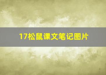 17松鼠课文笔记图片