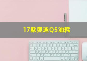 17款奥迪Q5油耗