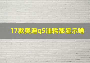 17款奥迪q5油耗都显示啥