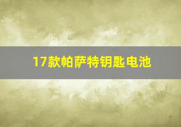 17款帕萨特钥匙电池