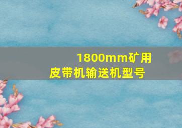 1800mm矿用皮带机输送机型号