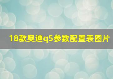 18款奥迪q5参数配置表图片