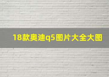 18款奥迪q5图片大全大图