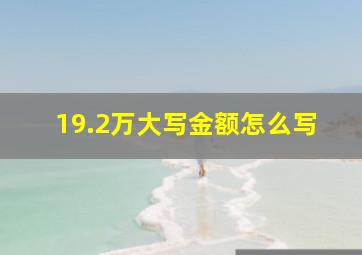 19.2万大写金额怎么写