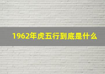 1962年虎五行到底是什么