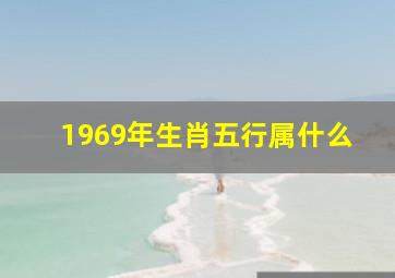 1969年生肖五行属什么