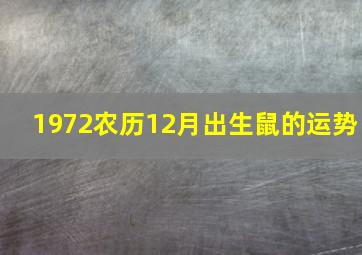 1972农历12月出生鼠的运势