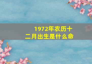 1972年农历十二月出生是什么命