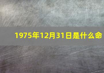 1975年12月31日是什么命