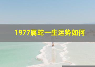 1977属蛇一生运势如何