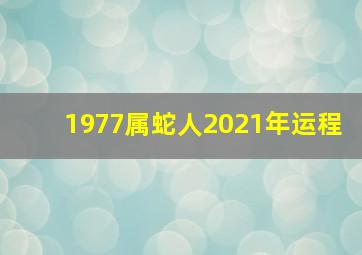 1977属蛇人2021年运程