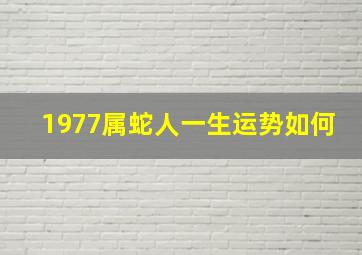 1977属蛇人一生运势如何