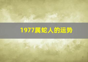 1977属蛇人的运势