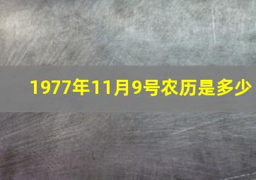 1977年11月9号农历是多少