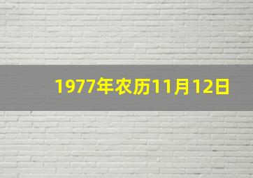 1977年农历11月12日