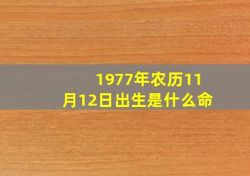 1977年农历11月12日出生是什么命