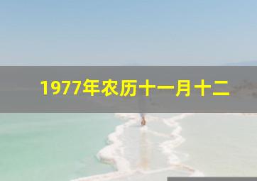 1977年农历十一月十二