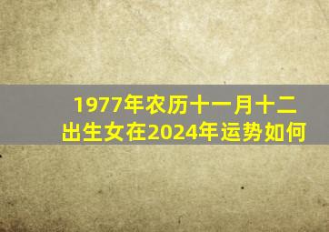 1977年农历十一月十二出生女在2024年运势如何