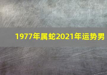 1977年属蛇2021年运势男