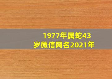 1977年属蛇43岁微信网名2021年