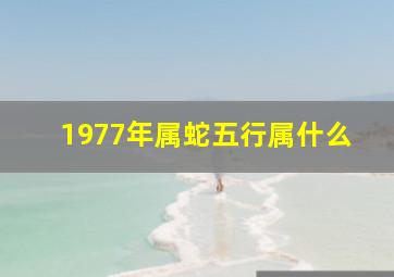 1977年属蛇五行属什么