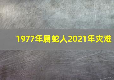 1977年属蛇人2021年灾难