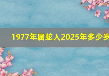 1977年属蛇人2025年多少岁