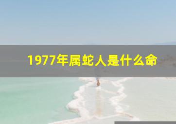 1977年属蛇人是什么命