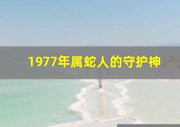 1977年属蛇人的守护神