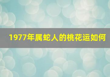 1977年属蛇人的桃花运如何