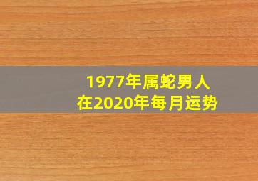 1977年属蛇男人在2020年每月运势