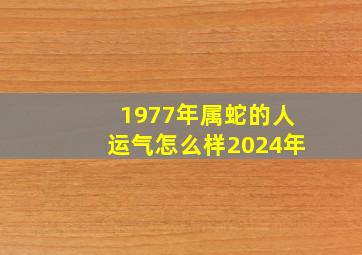 1977年属蛇的人运气怎么样2024年