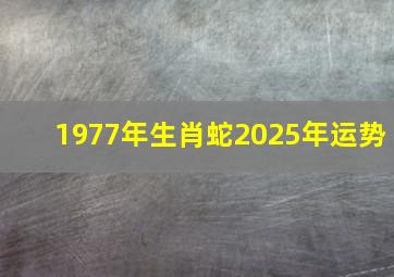 1977年生肖蛇2025年运势