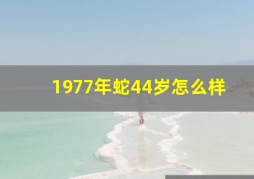 1977年蛇44岁怎么样