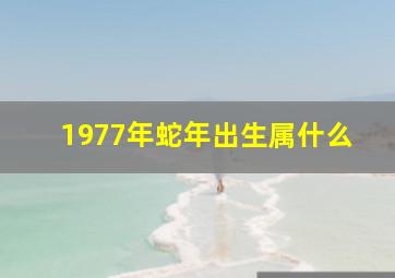 1977年蛇年出生属什么