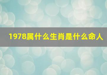 1978属什么生肖是什么命人