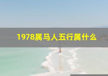 1978属马人五行属什么