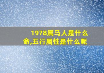 1978属马人是什么命,五行属性是什么呢