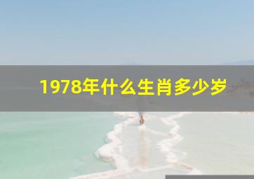 1978年什么生肖多少岁