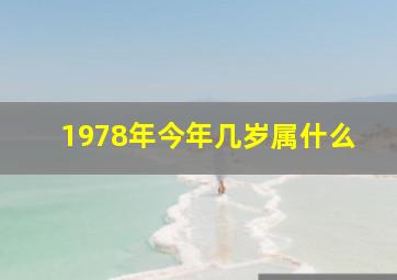 1978年今年几岁属什么