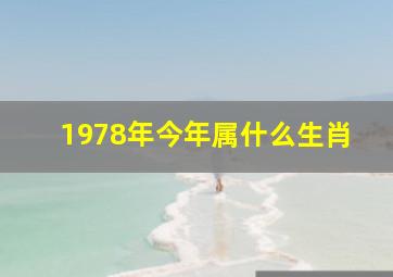 1978年今年属什么生肖