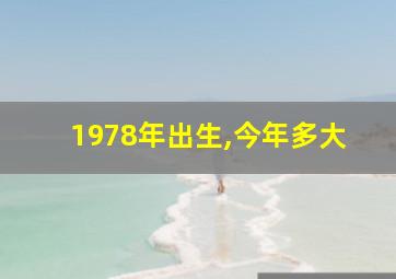 1978年出生,今年多大