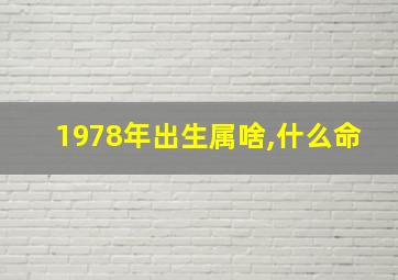 1978年出生属啥,什么命