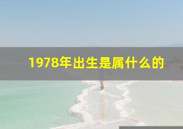 1978年出生是属什么的